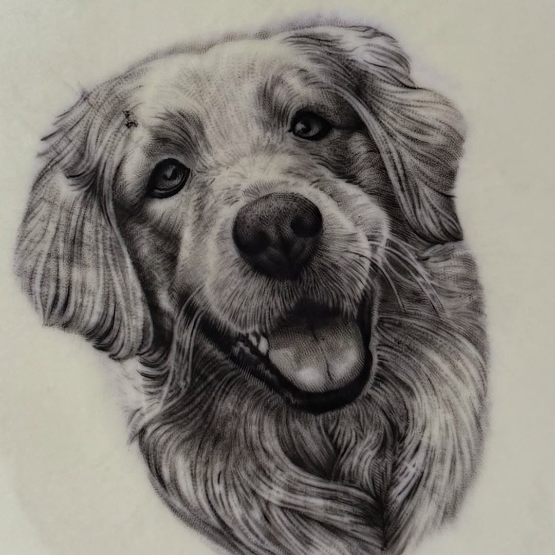 realismo pet felipe leite 02