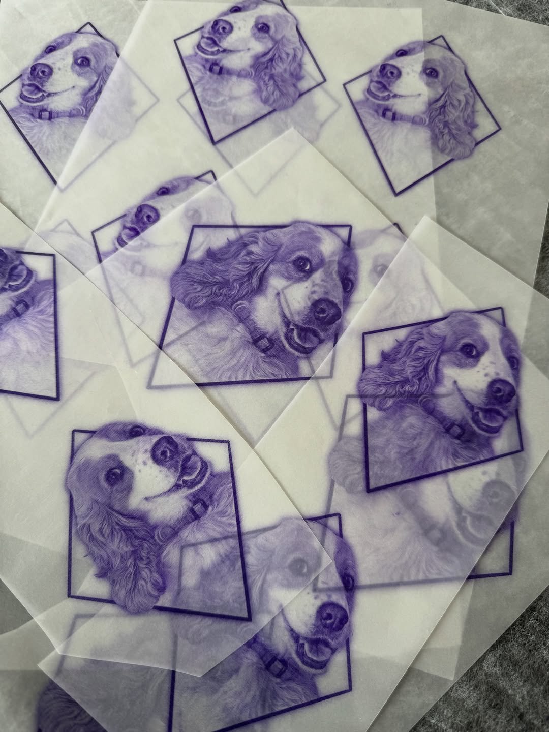 Processo de Decalque Tattoo